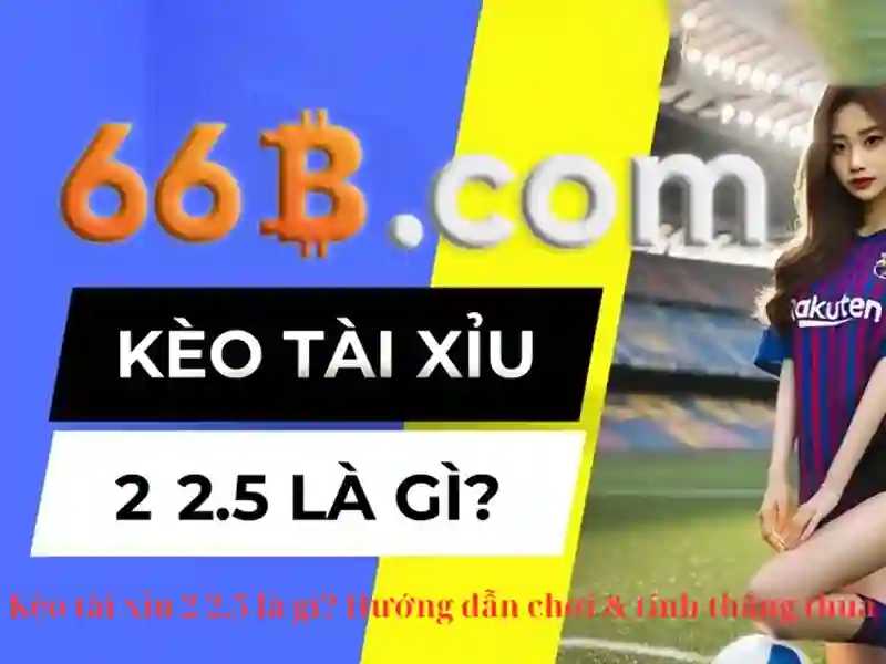 Kiến trúc của 66b