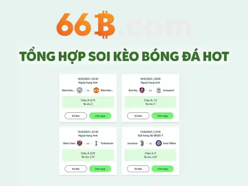 Khái niệm cơ bản của 66B