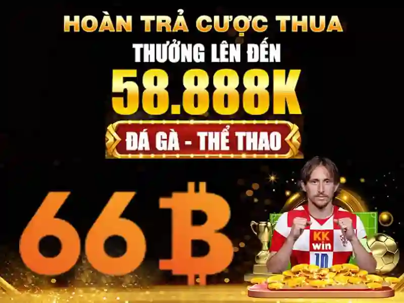Cấu trúc và tham số