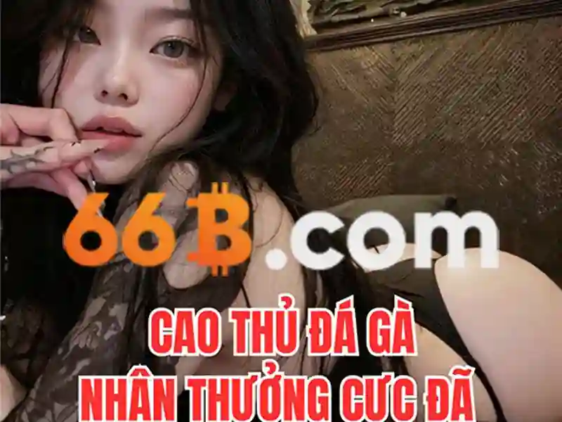 66b: Khái niệm, kích thước và tiềm năng