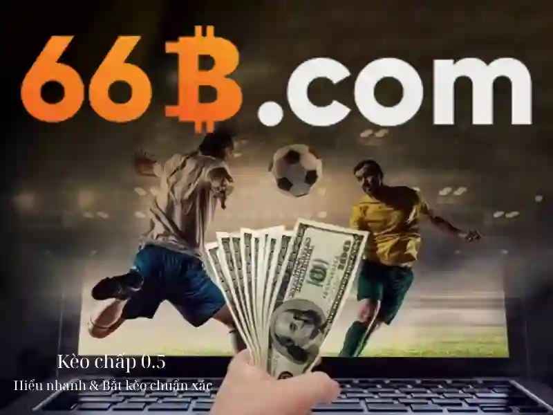 Giới thiệu về 66B